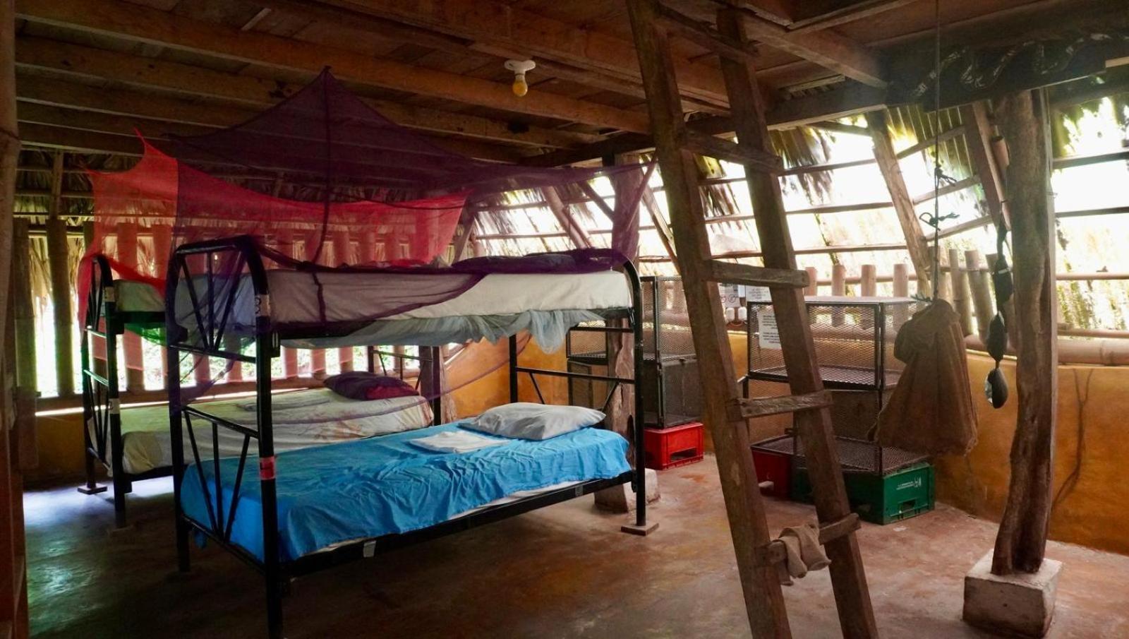 Hostel El Zopilote Balgue Zimmer foto